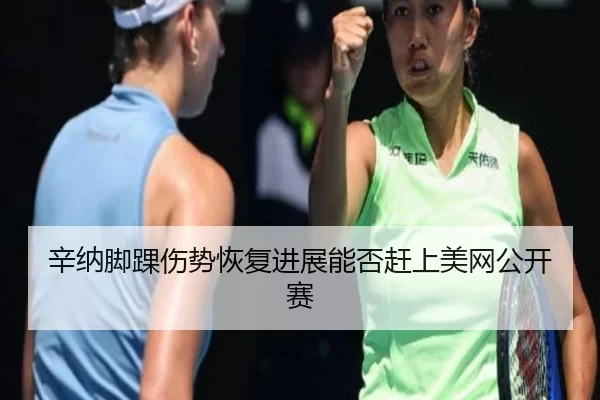辛纳脚踝伤势恢复进展能否赶上美网公开赛