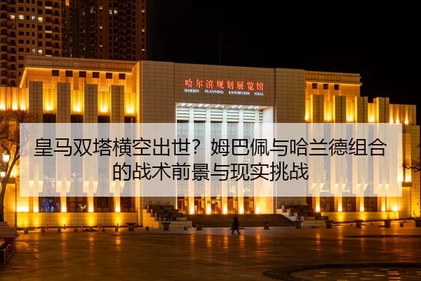 huang-ma-shuang-ta-heng-kong-chu-shi-mu-ba-pei-yu-ha-lan-de-zu-he-de-zhan-shu-qian-jing-yu-xian-shi-tiao-zhan-2-520.jpg