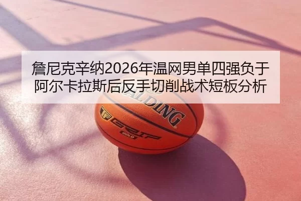 zhan-ni-ke-xin-na-nian-wen-wang-nan-dan-si-qiang-fu-yu-a-er-ka-la-si-hou-fan-shou-qie-xiao-zhan-shu-duan-ban-fen-xi-2-389.jpg